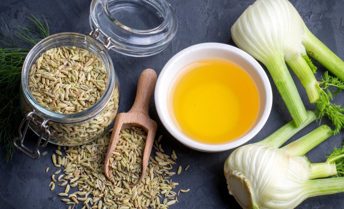 What is fennel, what are its benefits and harms: doctor's commentary and recipes