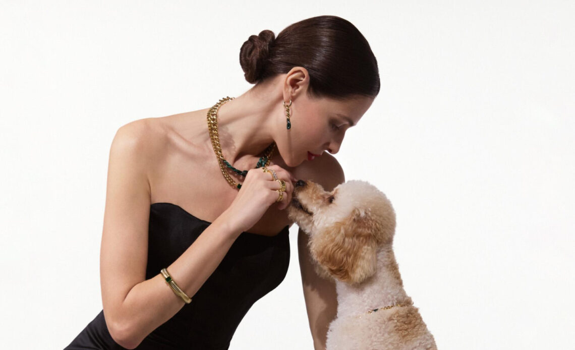 Take a look at the new AllTime photoshoot. It's dedicated to pets